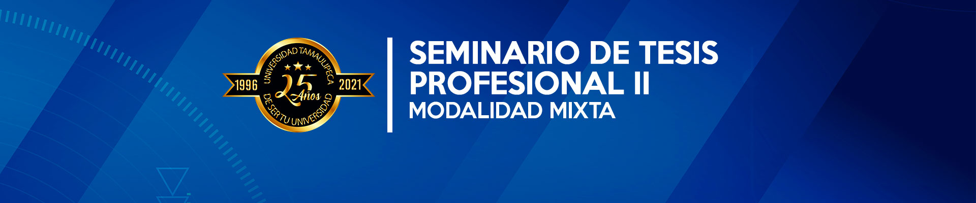 SEMINARIO DE TESIS PROFESIONAL II